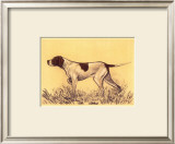 Hunting Dogs, Pointer
