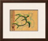Buy Hilihili Honu, Green Sea Turtle at AllPosters.com
