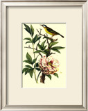 Buy Bird in Nature III at AllPosters.com