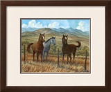 Appaloosa I