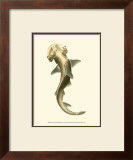 Shark Tale II