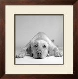 Buy Tally at AllPosters.com