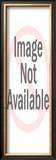 Buy Zebra at AllPosters.com