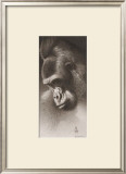 Buy Silver Back, the Gorilla at AllPosters.com
