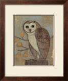 Ornate Owl II