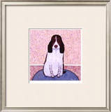 Patience - Springer Spaniel