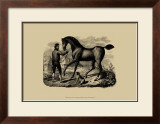 Horse and Horsemen VI