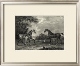 Buy King Herod and Flying Childers at AllPosters.com