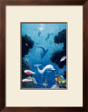 Buy Dolphin Smiles, Maui at AllPosters.com