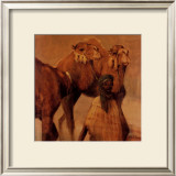 Buy Al Bahrein at AllPosters.com
