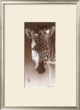 Buy Grant, the Zebra at AllPosters.com