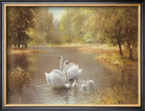 Buy Schwane at AllPosters.com