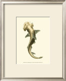Shark Tale II