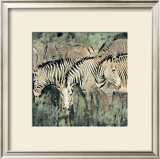 Heart of the Jungle I