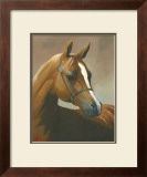 Buy Chestnut at AllPosters.com