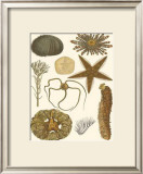 Underwater Oddities I
