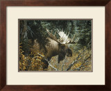 Buy Calm Before the Challenge at AllPosters.com