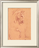 Buy Horse Head at AllPosters.com