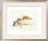 Buy Katzen at AllPosters.com