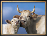 Buy With Love at AllPosters.com