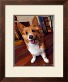 Corgi Get Low