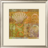 Buy Seashell Collage at AllPosters.com