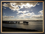 Buy Elephant Herd, Botswana at AllPosters.com