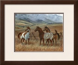 Appaloosa II