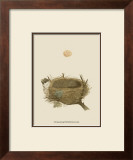 Buy Antique Nest and Egg II at AllPosters.com