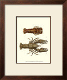 Buy Antique Lobster III at AllPosters.com