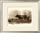 Buy Bovine III at AllPosters.com