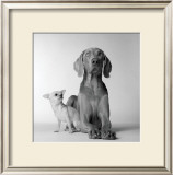 Buy Max and Roxie at AllPosters.com