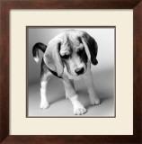Buy Georgia at AllPosters.com