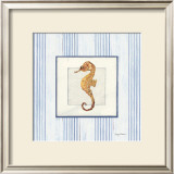 Sanibel Shell IV