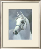 Buy Palomino at AllPosters.com