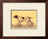 Hunting Dogs, Pointer
