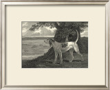 Buy Staghound at AllPosters.com
