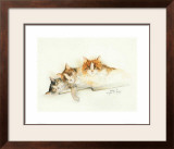 Buy Katzen at AllPosters.com