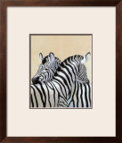 The Zebra