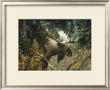 Buy Calm Before the Challenge at AllPosters.com