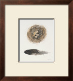 Field Study Nest