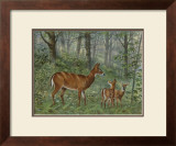 Deer Family I