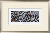 Buy Zebras's Sea at AllPosters.com