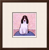 Patience - Springer Spaniel