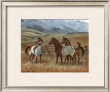 Appaloosa II