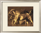 Buy Like the Wind I at AllPosters.com