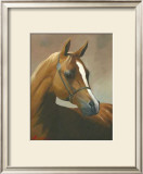 Buy Chestnut at AllPosters.com