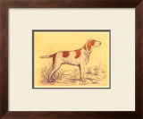 Hunting Dogs, Griffon