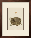 Buy Antique Nest and Egg I at AllPosters.com