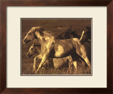 Buy Like the Wind I at AllPosters.com